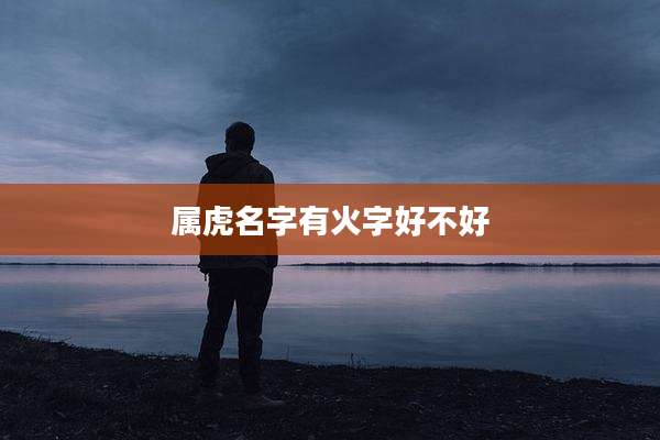 属虎名字有火字好不好
