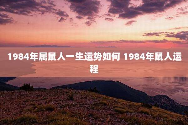 1984年属鼠人一生运势如何 1984年鼠人运程