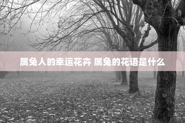 属兔人的幸运花卉 属兔的花语是什么
