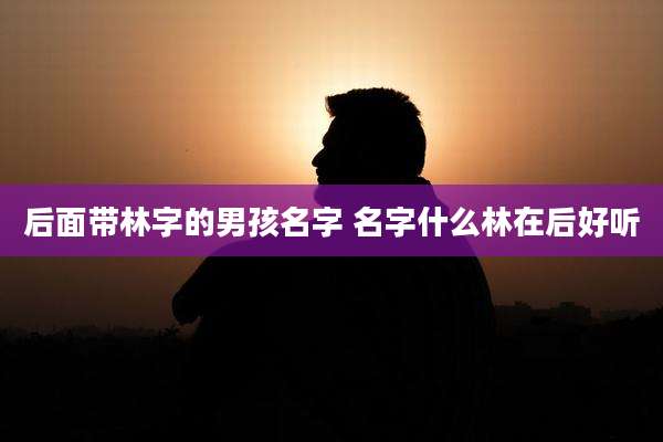 后面带林字的男孩名字 名字什么林在后好听