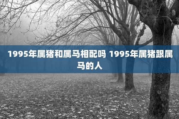 1995年属猪和属马相配吗 1995年属猪跟属马的人