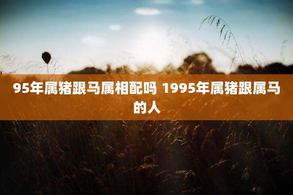 95年属猪跟马属相配吗 1995年属猪跟属马的人