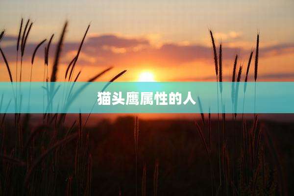 猫头鹰属性的人