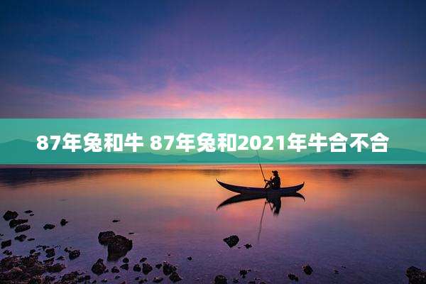 87年兔和牛 87年兔和2021年牛合不合