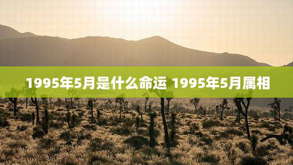 1995年5月是什么命运 1995年5月属相