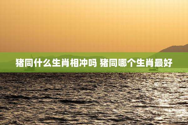 猪同什么生肖相冲吗 猪同哪个生肖最好