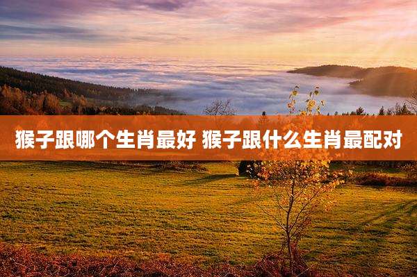 猴子跟哪个生肖最好 猴子跟什么生肖最配对