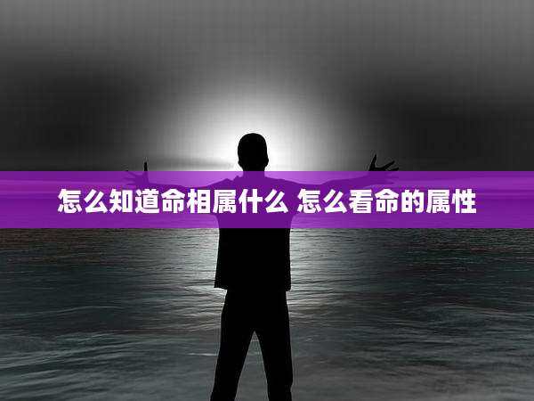 怎么知道命相属什么 怎么看命的属性