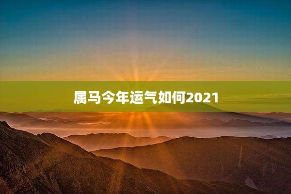 属马今年运气如何2021