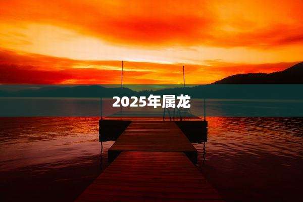 2025年属龙