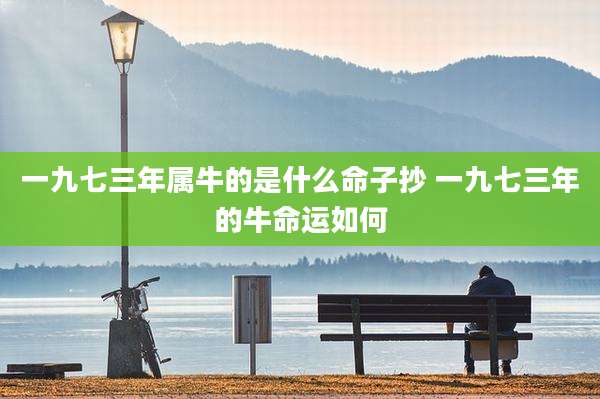 一九七三年属牛的是什么命子抄 一九七三年的牛命运如何