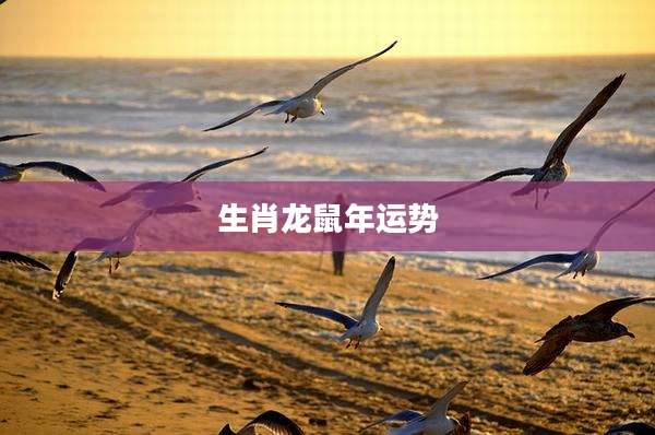 生肖龙鼠年运势