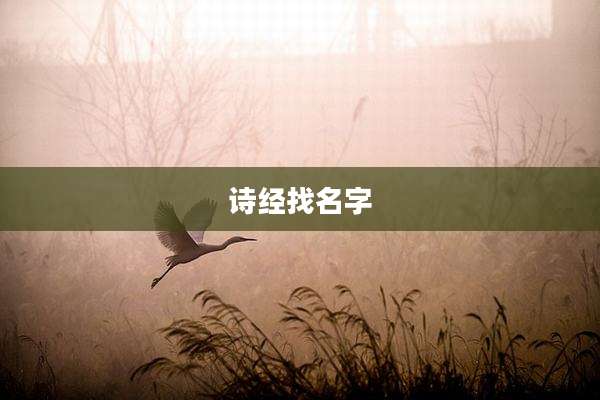 诗经找名字