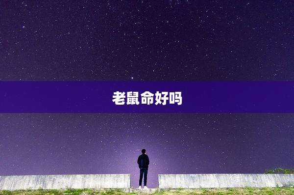 老鼠命好吗