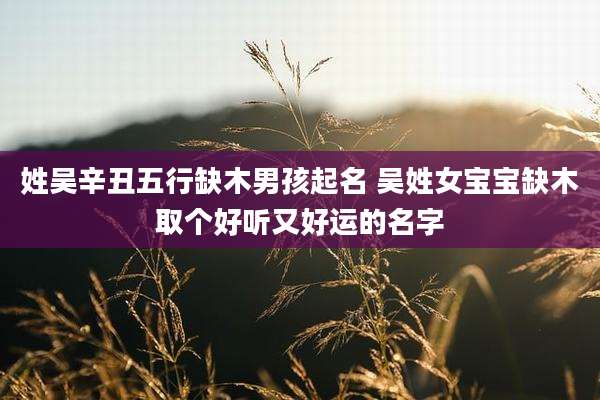 姓吴辛丑五行缺木男孩起名 吴姓女宝宝缺木取个好听又好运的名字