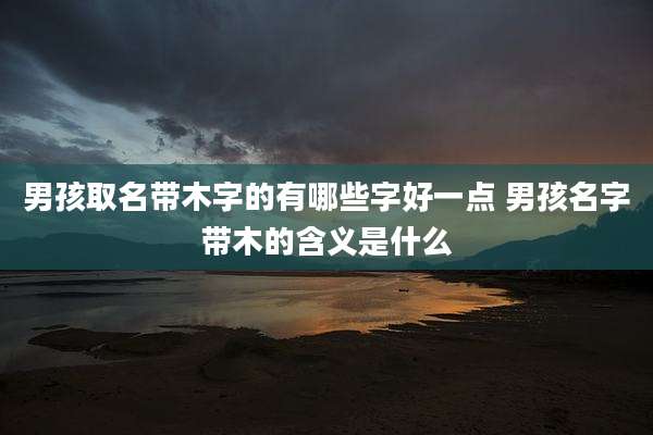 男孩取名带木字的有哪些字好一点 男孩名字带木的含义是什么