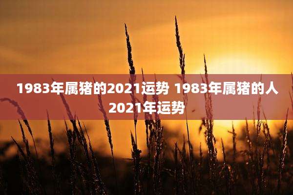 1983年属猪的2021运势 1983年属猪的人2021年运势
