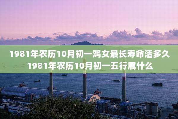1981年农历10月初一鸡女最长寿命活多久 1981年农历10月初一五行属什么