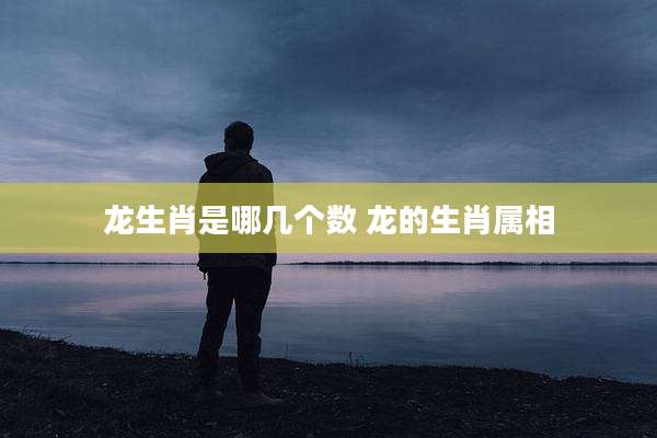 龙生肖是哪几个数 龙的生肖属相