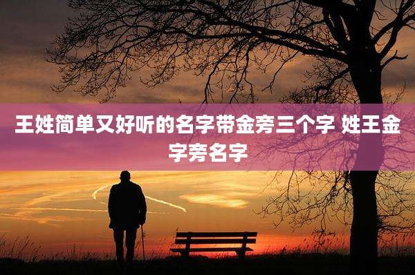 王姓简单又好听的名字带金旁三个字 姓王金字旁名字