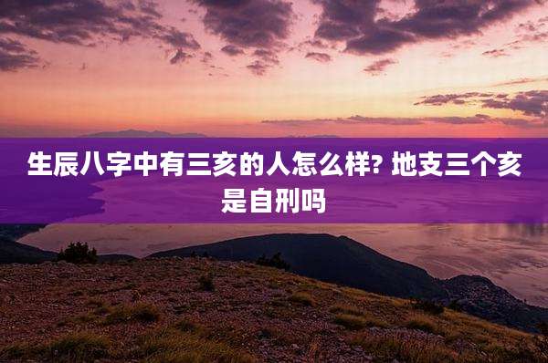 生辰八字中有三亥的人怎么样? 地支三个亥是自刑吗