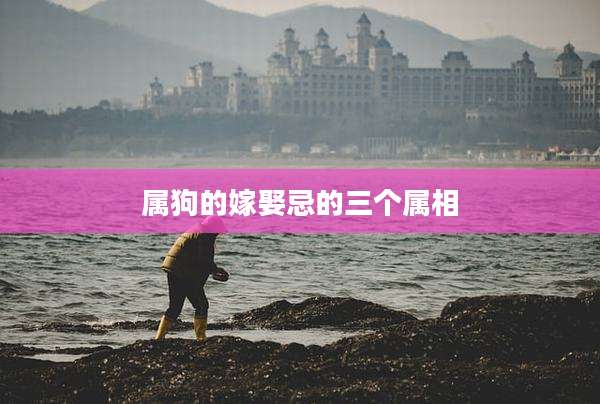 属狗的嫁娶忌的三个属相