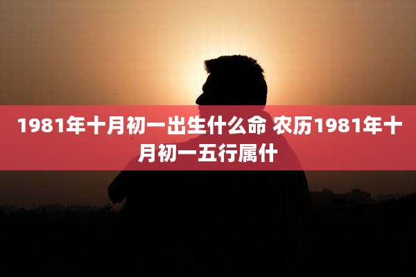1981年十月初一出生什么命 农历1981年十月初一五行属什