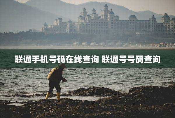 联通手机号码在线查询 联通号号码查询