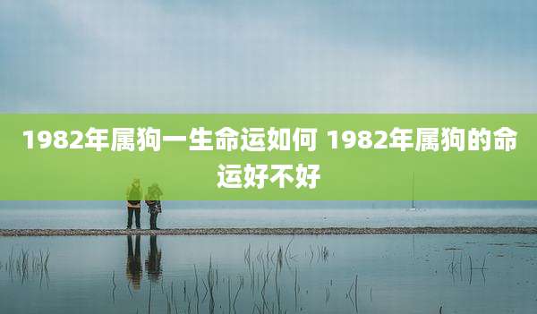 1982年属狗一生命运如何 1982年属狗的命运好不好