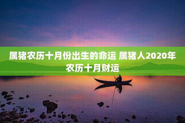 属猪农历十月份出生的命运 属猪人2020年农历十月财运