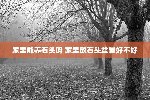 家里能养石头吗 家里放石头盆景好不好