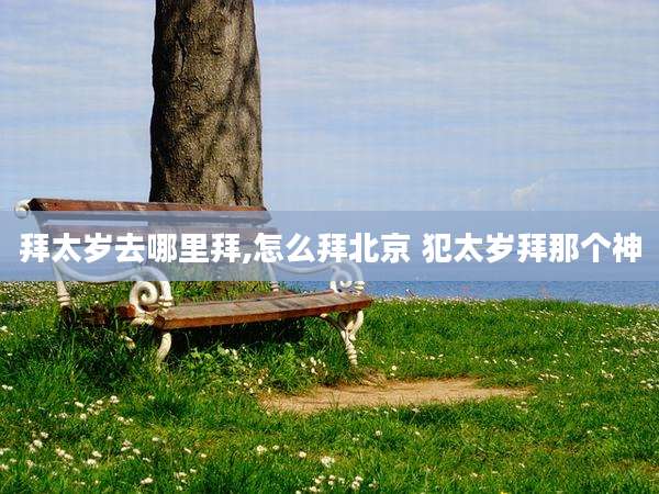 拜太岁去哪里拜,怎么拜北京 犯太岁拜那个神