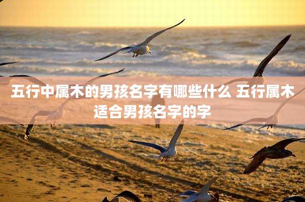 五行中属木的男孩名字有哪些什么 五行属木适合男孩名字的字