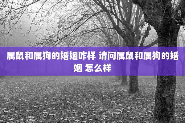 属鼠和属狗的婚姻咋样 请问属鼠和属狗的婚姻 怎么样