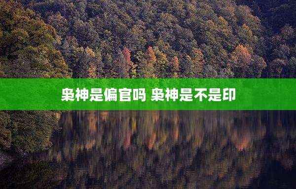 枭神是偏官吗 枭神是不是印