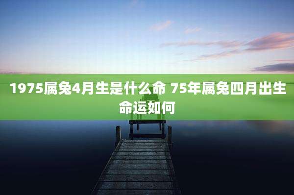 1975属兔4月生是什么命 75年属兔四月出生命运如何