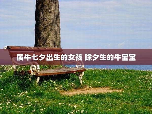 属牛七夕出生的女孩 除夕生的牛宝宝