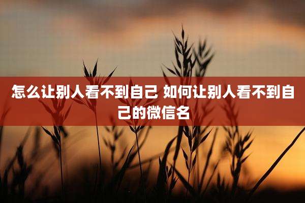 怎么让别人看不到自己 如何让别人看不到自己的微信名
