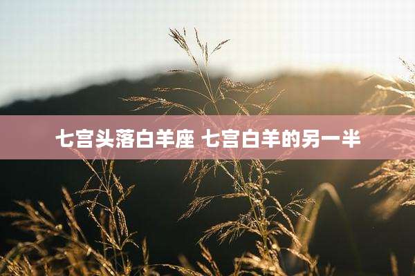 七宫头落白羊座 七宫白羊的另一半