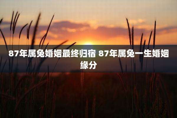 87年属兔婚姻最终归宿 87年属兔一生婚姻缘分
