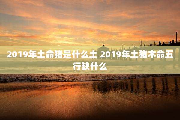 2019年土命猪是什么土 2019年土猪木命五行缺什么