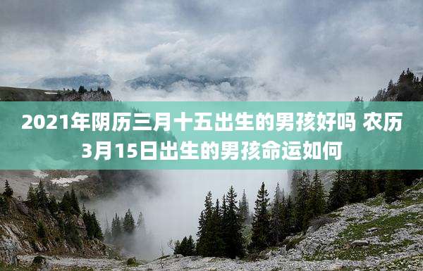 2021年阴历三月十五出生的男孩好吗 农历3月15日出生的男孩命运如何