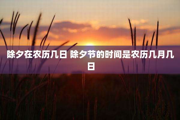 除夕在农历几日 除夕节的时间是农历几月几日