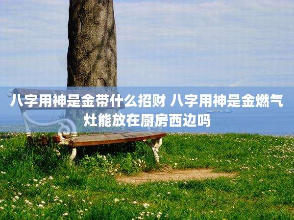 八字用神是金带什么招财 八字用神是金燃气灶能放在厨房西边吗