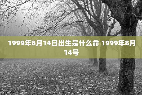 1999年8月14日出生是什么命 1999年8月14号