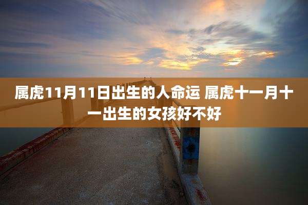 属虎11月11日出生的人命运 属虎十一月十一出生的女孩好不好
