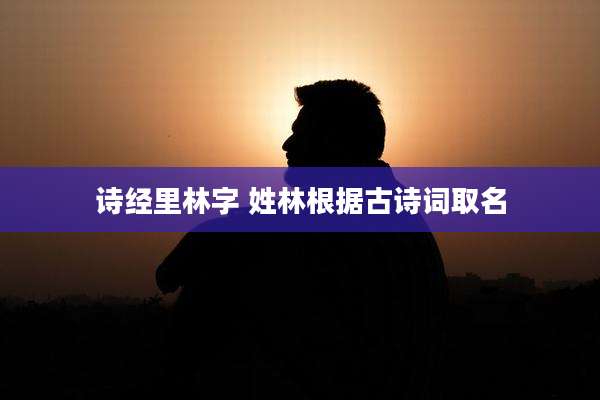 诗经里林字 姓林根据古诗词取名