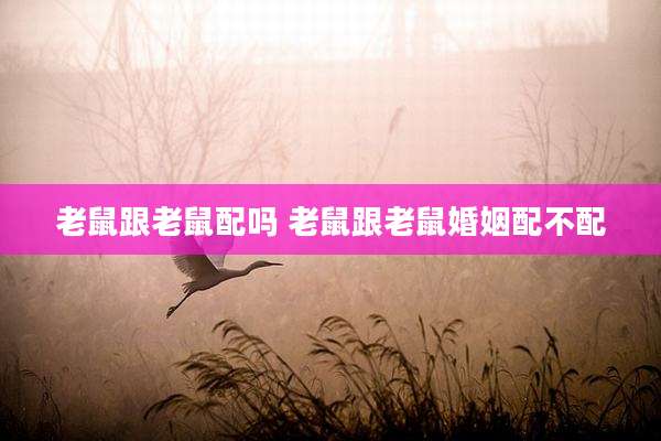 老鼠跟老鼠配吗 老鼠跟老鼠婚姻配不配