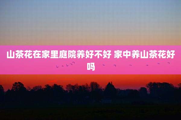 山茶花在家里庭院养好不好 家中养山茶花好吗