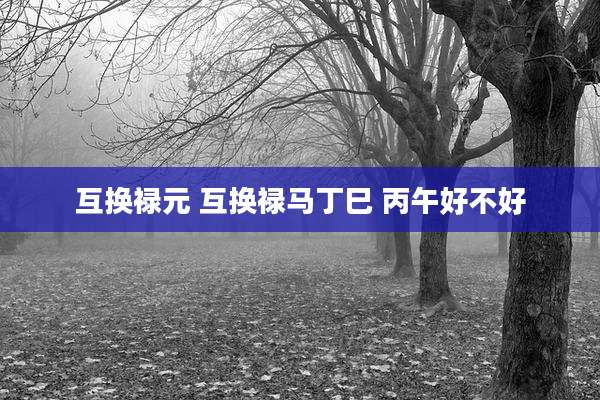 互换禄元 互换禄马丁巳 丙午好不好